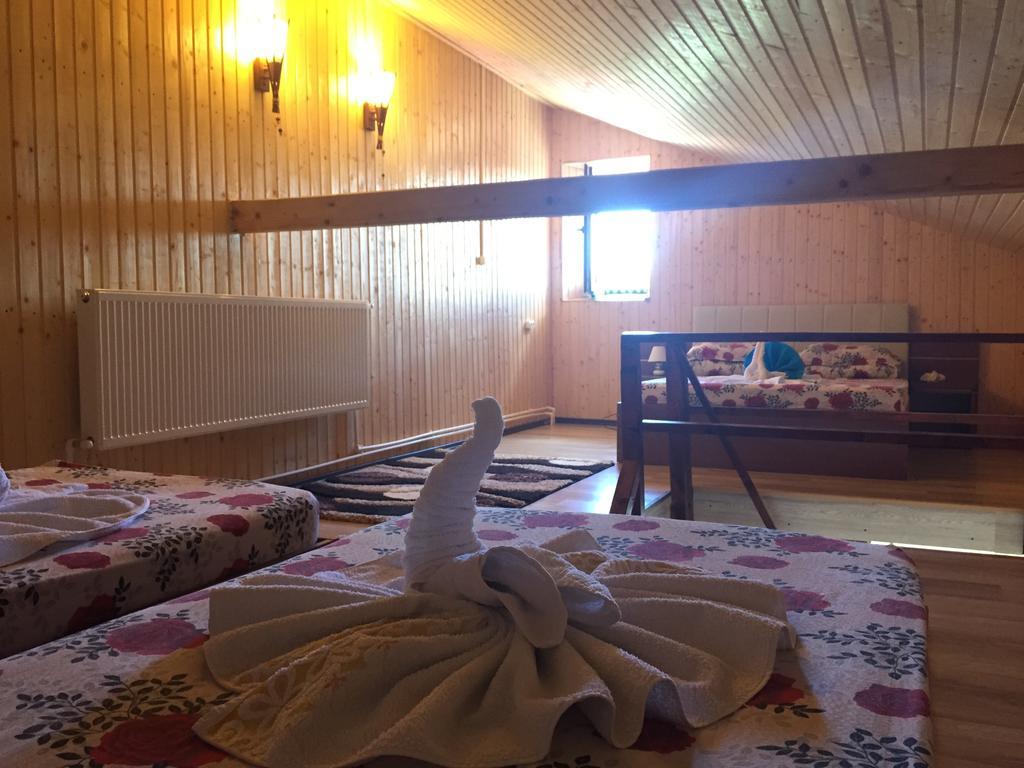 Pensiunea Roka ルンカ 部屋 写真